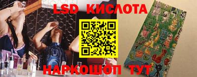 ПСИЛОЦИБИНОВЫЕ ГРИБЫ Аргун