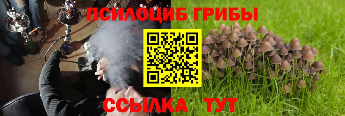 Апрелевка  Псилоцибиновые грибы ЛСД  Вход с VPN 