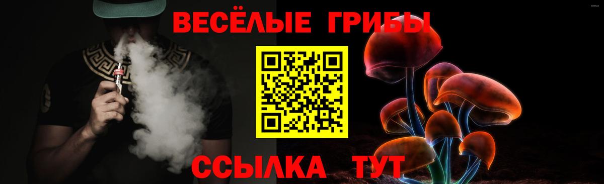 Псилоцибиновые грибы Cubensis Апрелевка